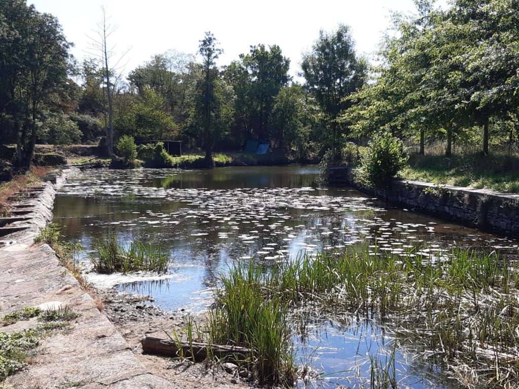 le Thouet au Gourgé